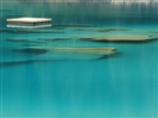 Floss inmitten des türkisblauen Caumasees